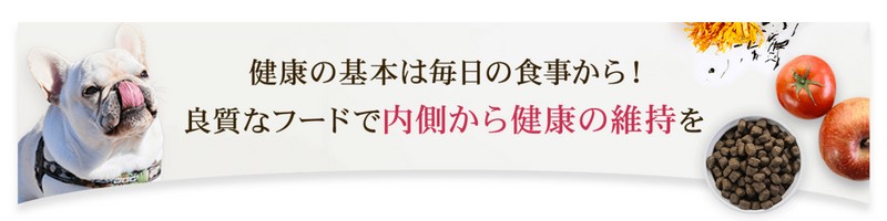 ��A�����Q���������������́u�G�b�Z���V�����h�b�O�t�[�h�v���T�C�g